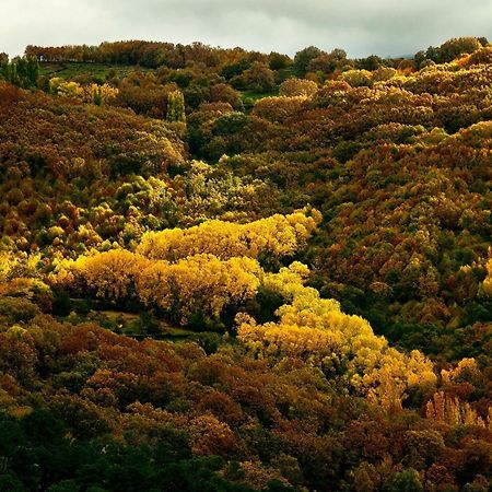 Aroma De Primavera En Casas Rurales Acebuche Casas del Monte ภายนอก รูปภาพ