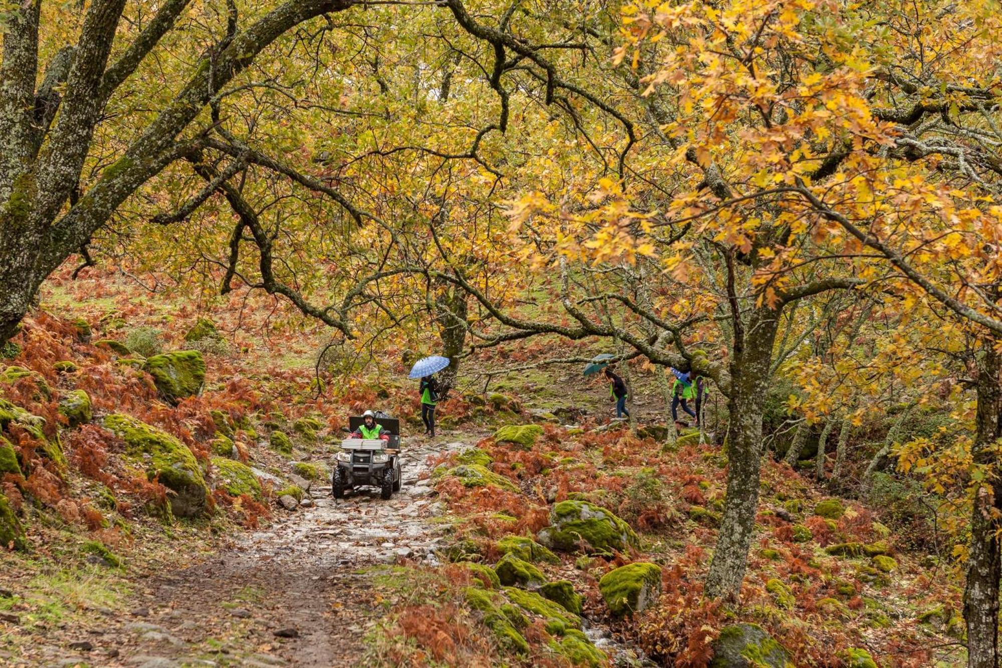 Aroma De Primavera En Casas Rurales Acebuche Casas del Monte ภายนอก รูปภาพ