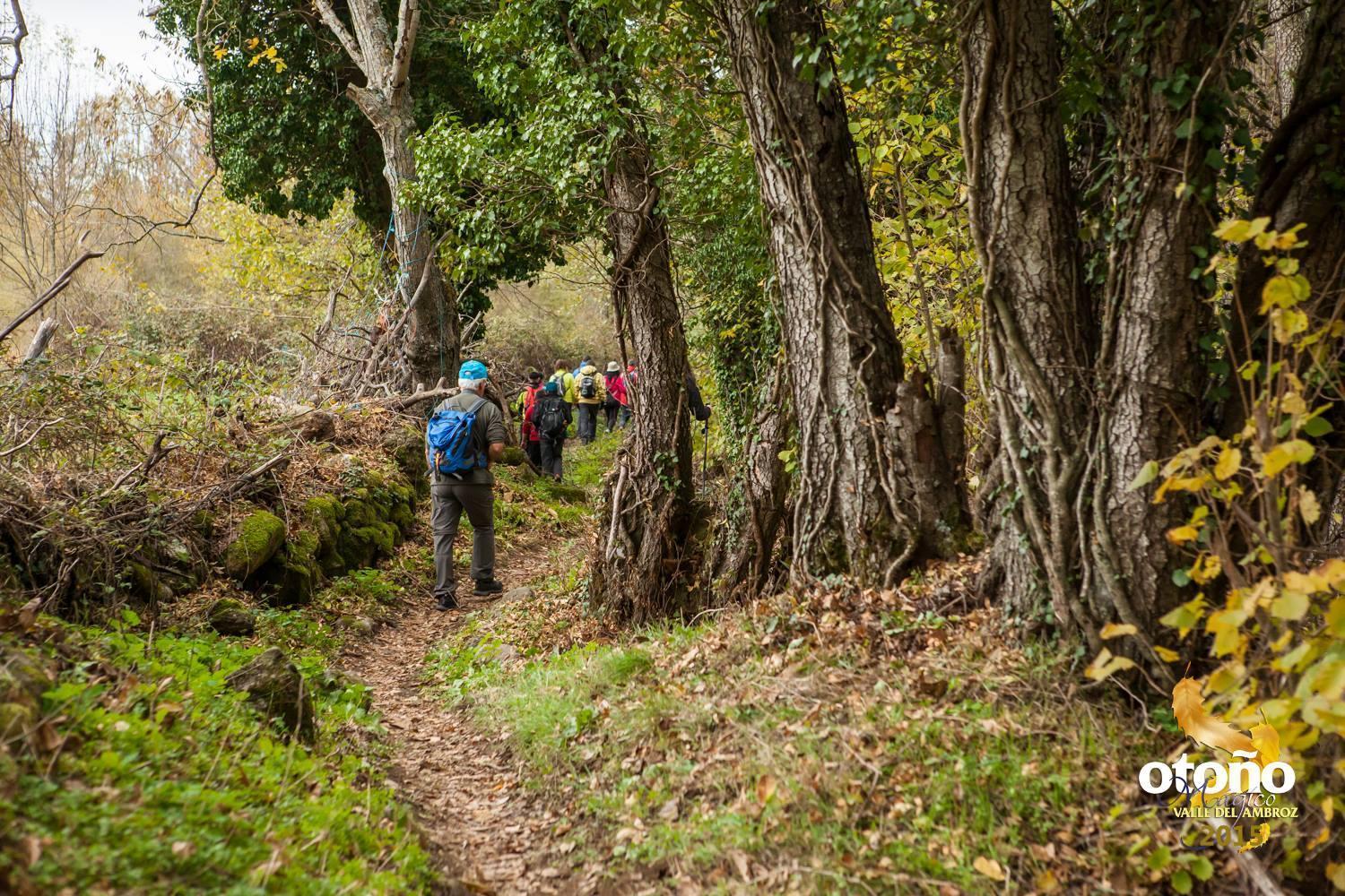Aroma De Primavera En Casas Rurales Acebuche Casas del Monte ภายนอก รูปภาพ