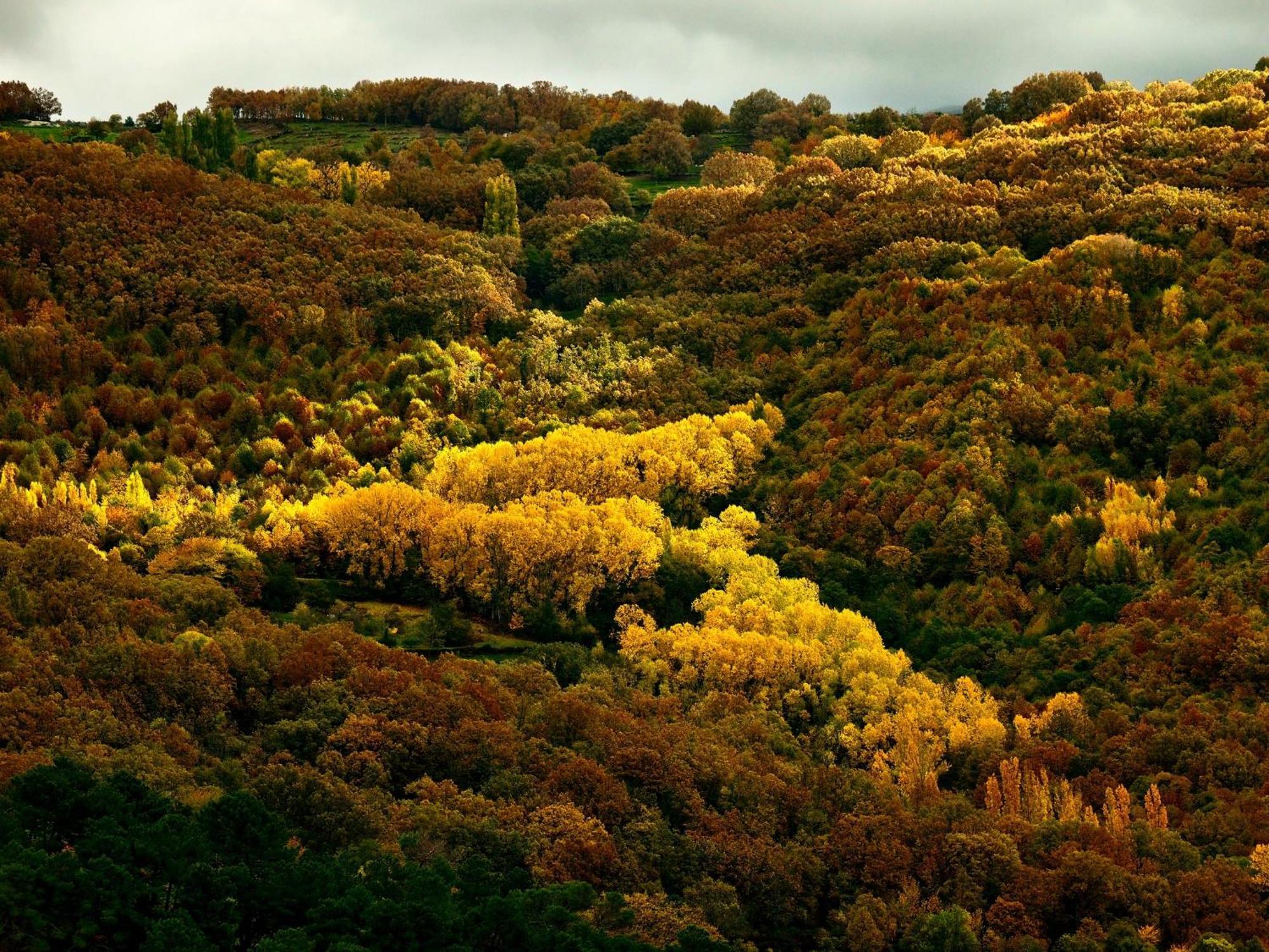Aroma De Primavera En Casas Rurales Acebuche Casas del Monte ภายนอก รูปภาพ