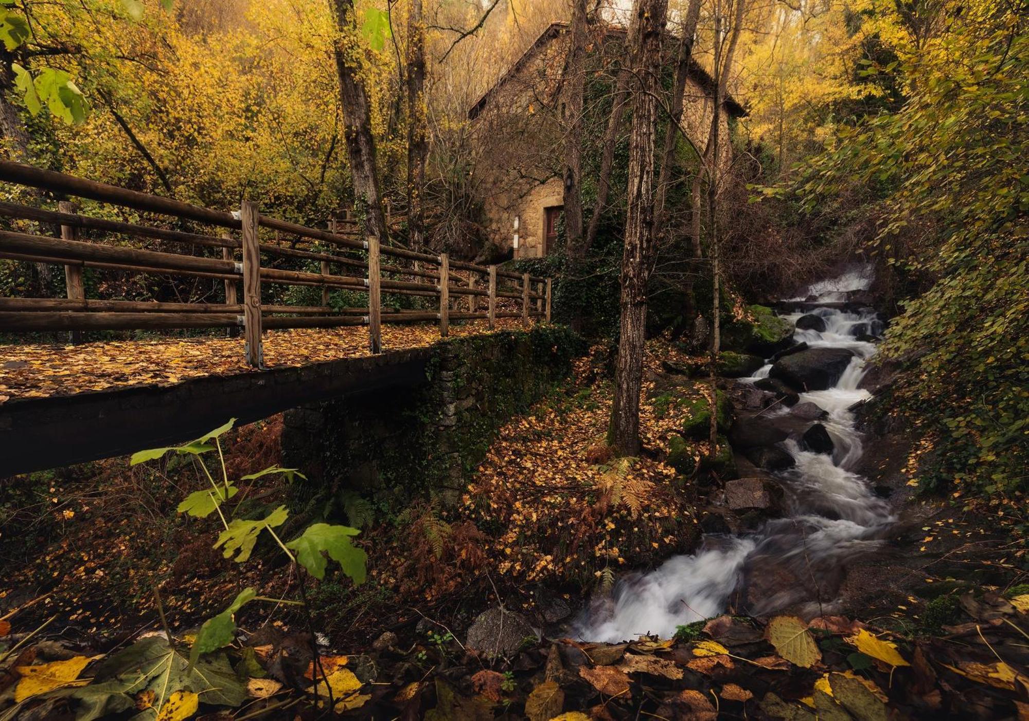 Aroma De Primavera En Casas Rurales Acebuche Casas del Monte ภายนอก รูปภาพ