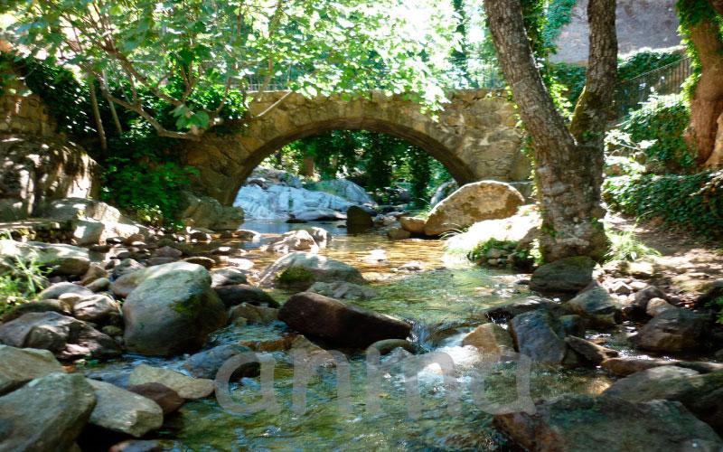 Aroma De Primavera En Casas Rurales Acebuche Casas del Monte ภายนอก รูปภาพ